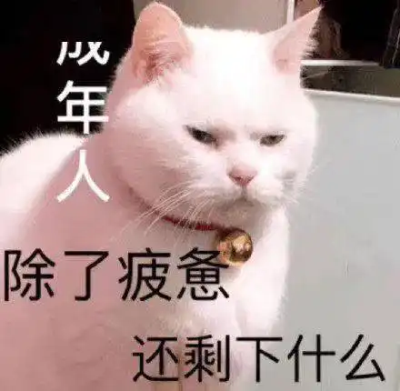 不好的表情包抛单