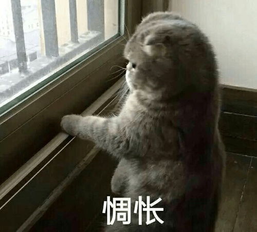  用一个表情包形容你的专业