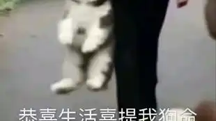 既然对面给机会了,那就四趴吧 既然对面给机会了,那就四趴吧