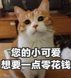 是就业好还是创业好每日轻松一刻1月28日晚间版
