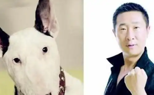 林永健周冬齐的浪漫空间,儿童房装修堪称经典,值得借鉴 林永健周冬齐的浪漫空间,儿童房装修堪称经典,值得借鉴