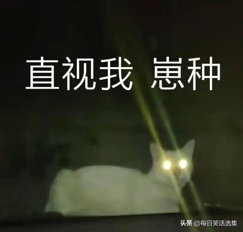  二货老婆,为了避免我说她在家不务正业,开始做微商