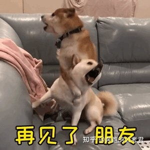  定向选调去异地,值得吗