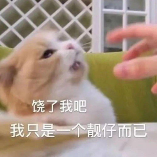  表情包没心没肺快乐加倍