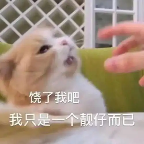 表情包没心没肺快乐加倍 表情包没心没肺快乐加倍