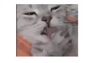 发这么一张猫舔爪子的表情包动图是什么意思 发这么一张猫舔爪子的表情包动图是什么意思