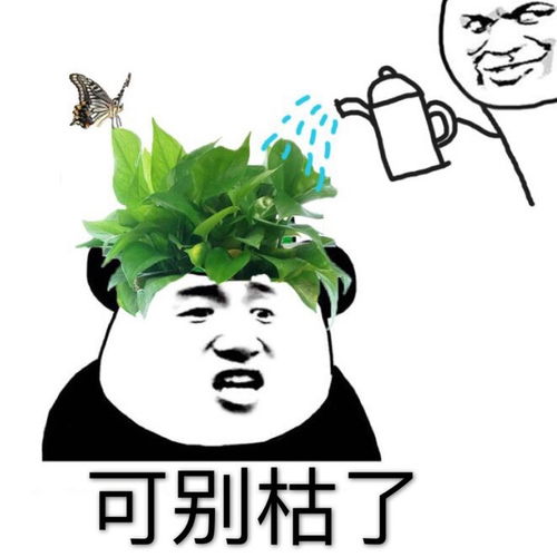  绿帽子绿帽不能枯,可别枯了绿帽绿帽子可别表情
