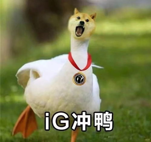  我们是冠军