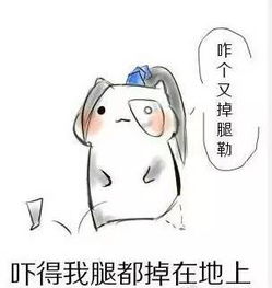  表情包吓得我毛都掉了