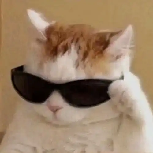 入驻了爱发电 入驻了爱发电