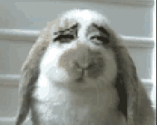  每日一图一鸣惊人的新西兰央行