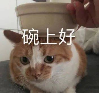  你喜欢有人对你说早安还是晚安