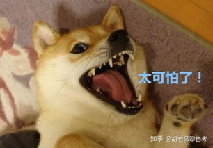  自考教材及资料购买全攻略再也不担心买错啦