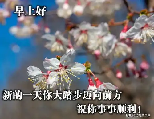 6月4日早上好问候语表情包动态图片,新的一天早上好快乐的早晨送你健康平安 6月4日早上好问候语表情包动态图片,新的一天早上好快乐的早晨送你健康平安