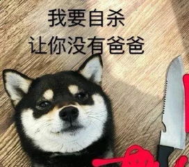  天津相声广播真狗屎运驴粪球外面光