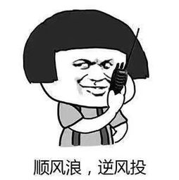  王者荣耀9款坑货表情包,总有一款你喜欢