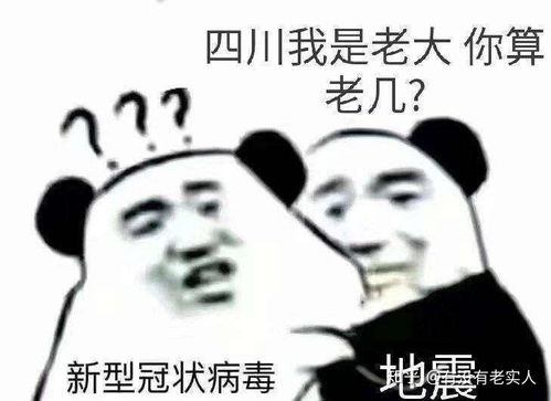 没钱了图片表情包沙雕