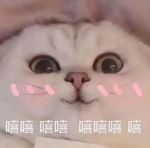  男生太妖娆是什么体验穿上背心后怎么感觉怪怪的,哈哈