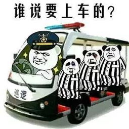  表情包我就是司机,快上车
