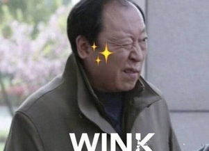  苏大强一角导演相中的是他被拒绝后,倪大红误打误撞却红了