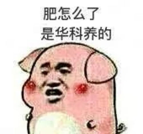 表情包微信微信表情包头