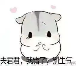 抖音小仓鼠高清无水印表情包合集超萌 抖音小仓鼠高清无水印表情包合集超萌