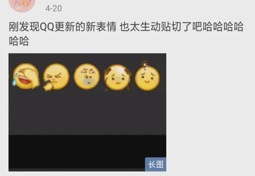  qq表情包更新,秀我一脸