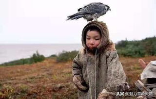  西伯利亚游牧文明的发祥地,在中国是那些民族