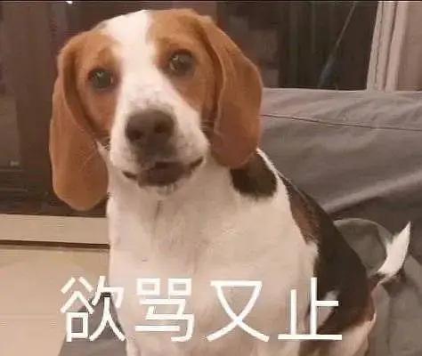  推荐一本好书合作的进化,一报还一报的处事态度印象...