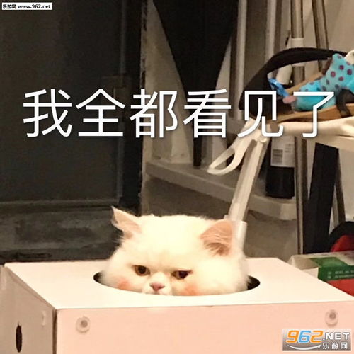  挑战单身100天图片生活没了盼头表情包下载乐游网游戏下载