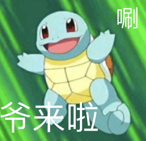 斗图表情包乌龟段子