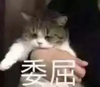 老妈表情包表情包