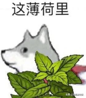  霸王收起剑,别姬也已走远这歌词虞姬要骂人了