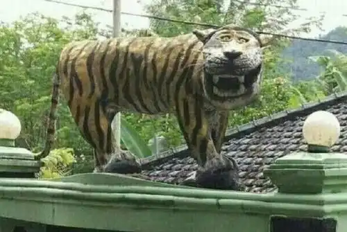 轻松一刻护士兼职做软件硬化服务,太魔幻了 轻松一刻护士兼职做软件硬化服务,太魔幻了