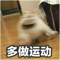  愿你在喵星永远幸福