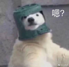  成年人,多的是迫于无奈,不过是希望得到支持而已