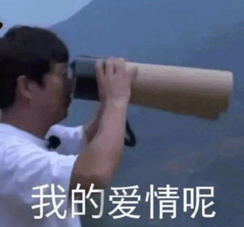  听说双十一是一个脱单的大好机会