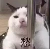  长痘烂脸贵妇品牌更不能这样用