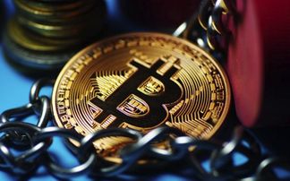 plusfo是下一个区块链的创新指南区块链经济的七大设计原则