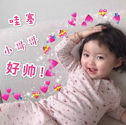  表情sir贱人贱人