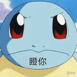  抖音杰尼龟表情包汇总杰尼龟憨憨无水印表情包合集