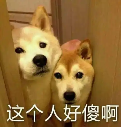 相亲遇到钢铁直男 相亲遇到钢铁直男