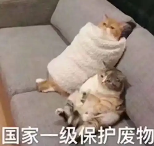 你是从哪首歌开始喜欢周杰伦的为什么呢 你是从哪首歌开始喜欢周杰伦的为什么呢