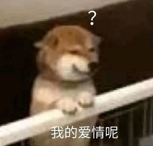  警惕今天北京仍有分散性雷阵雨大风冰雹将再次光顾