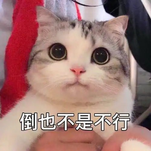 你平常聊天会用哪些求人的表情包 你平常聊天会用哪些求人的表情包