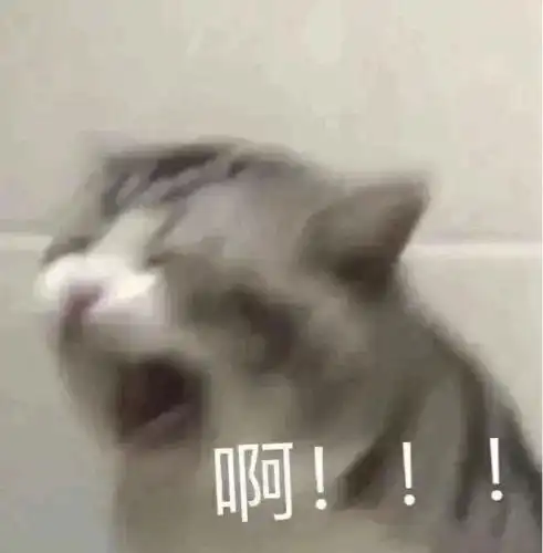 得找个地方存表情包 得找个地方存表情包