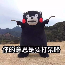  熊本熊表情包合集