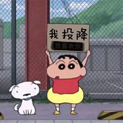  表情包不服你顺着网线来打我啊