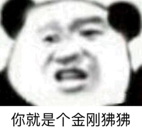  有哪些有意思的熊猫头表情包