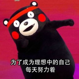努力的表情包可爱图片和